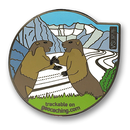 wallis geocoin