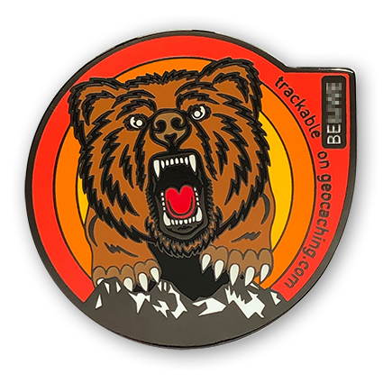 bern geocoin