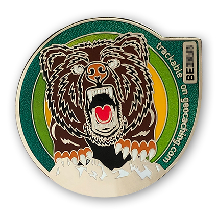 bern geocoin