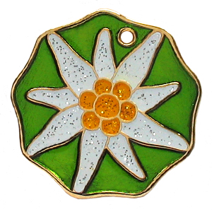edelweiss-geocoin