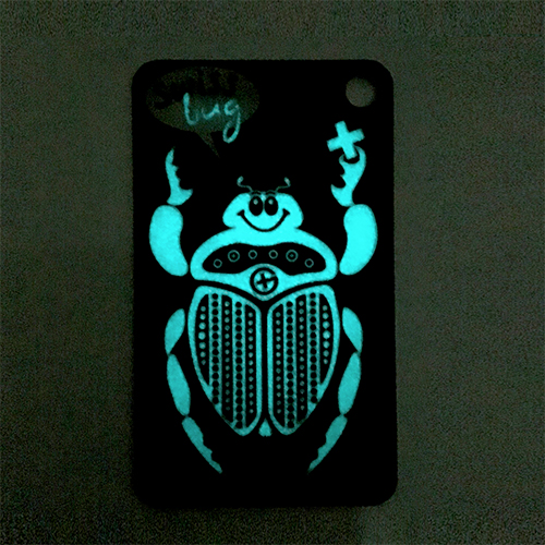 swiss bug in the dark