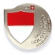 solothurn geocoin | nickel (re) DISCOUNTED