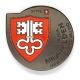 nidwalden geocoin | black nickel (se)