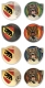 berne geocoins | set of 4 with gold (xle)